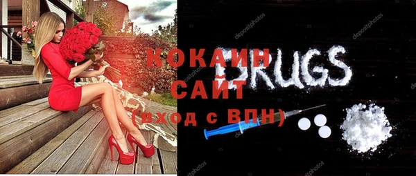СК Алексин