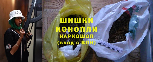 СК Алексин