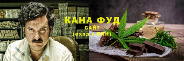 СК Алексин