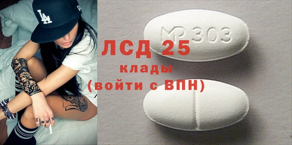 СК Алексин