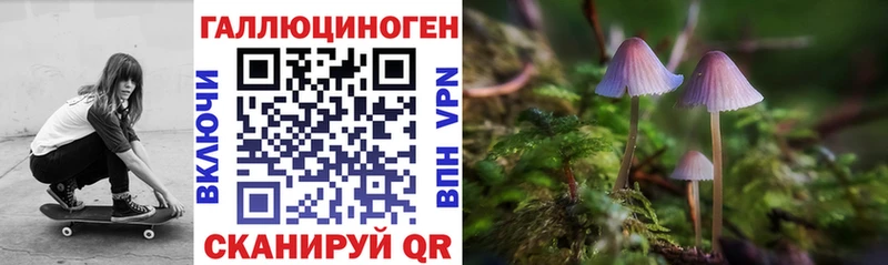 Псилоцибиновые грибы мицелий  shop Telegram  Ростов-на-Дону  купить закладку 