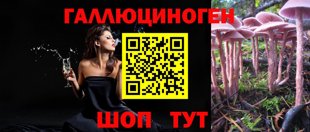 Псилоцибиновые грибы Psilocybe Ростов-на-Дону