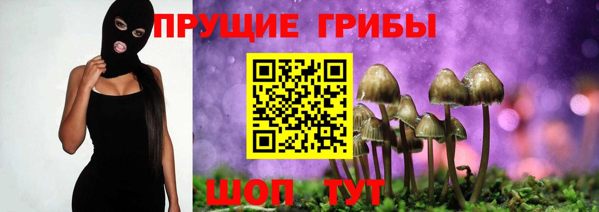 Псилоцибиновые грибы ЛСД  Вход с VPN  Ростов-на-Дону 